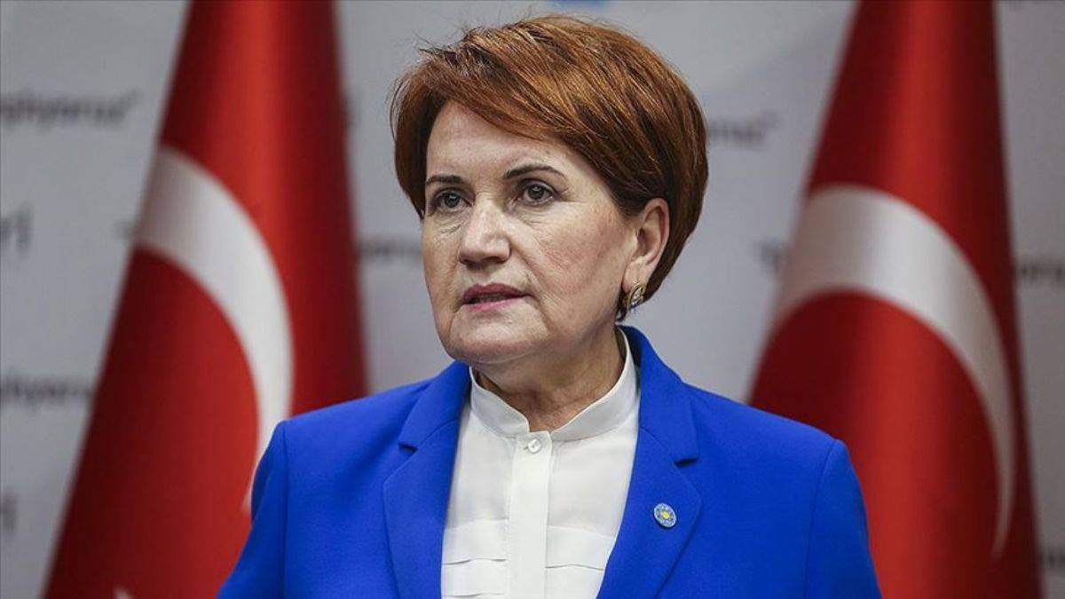 Meral Akşener i sokak köpeği ısırdı Timeturk