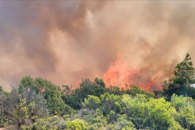 Forest fires increasing carbon dioxide emissions in atmosphere ...