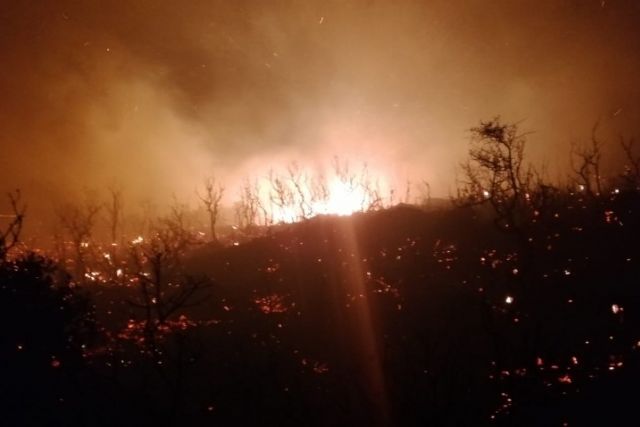 Kas Ta Yanginin Tahribati Havadan Goruntulendi Diken