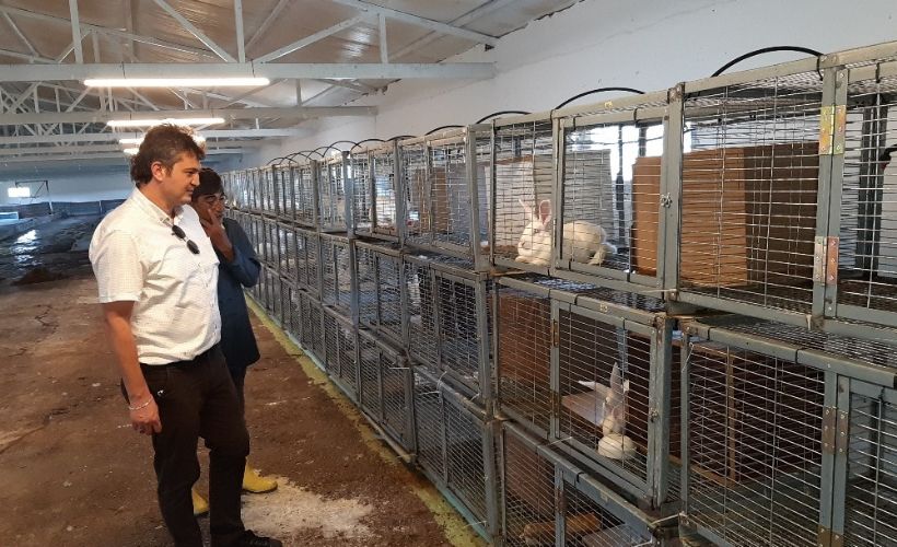 Türkiye'de bir ilk başararak kurduğu tavşan eti çiftliğinde 'D