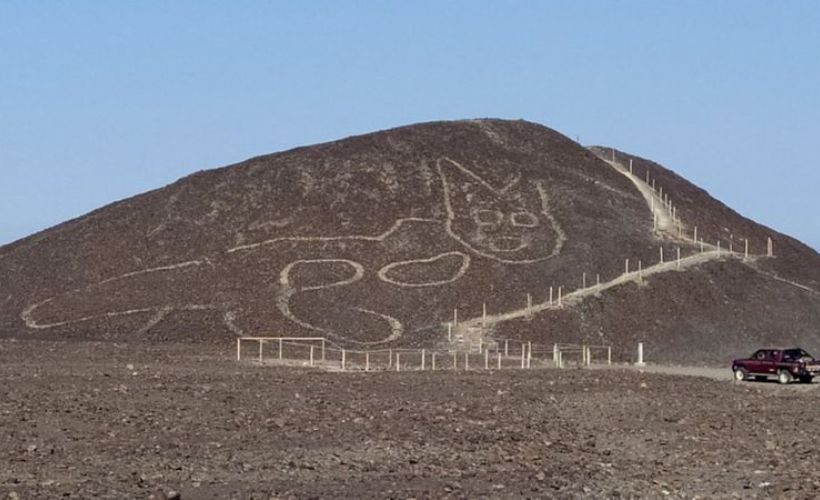 Peru�da çöle çizilmiş dev kedi figürü keşfedildi Timeturk Haber