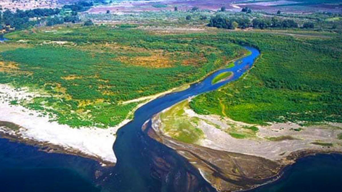 Место впадения реки в океан море озеро