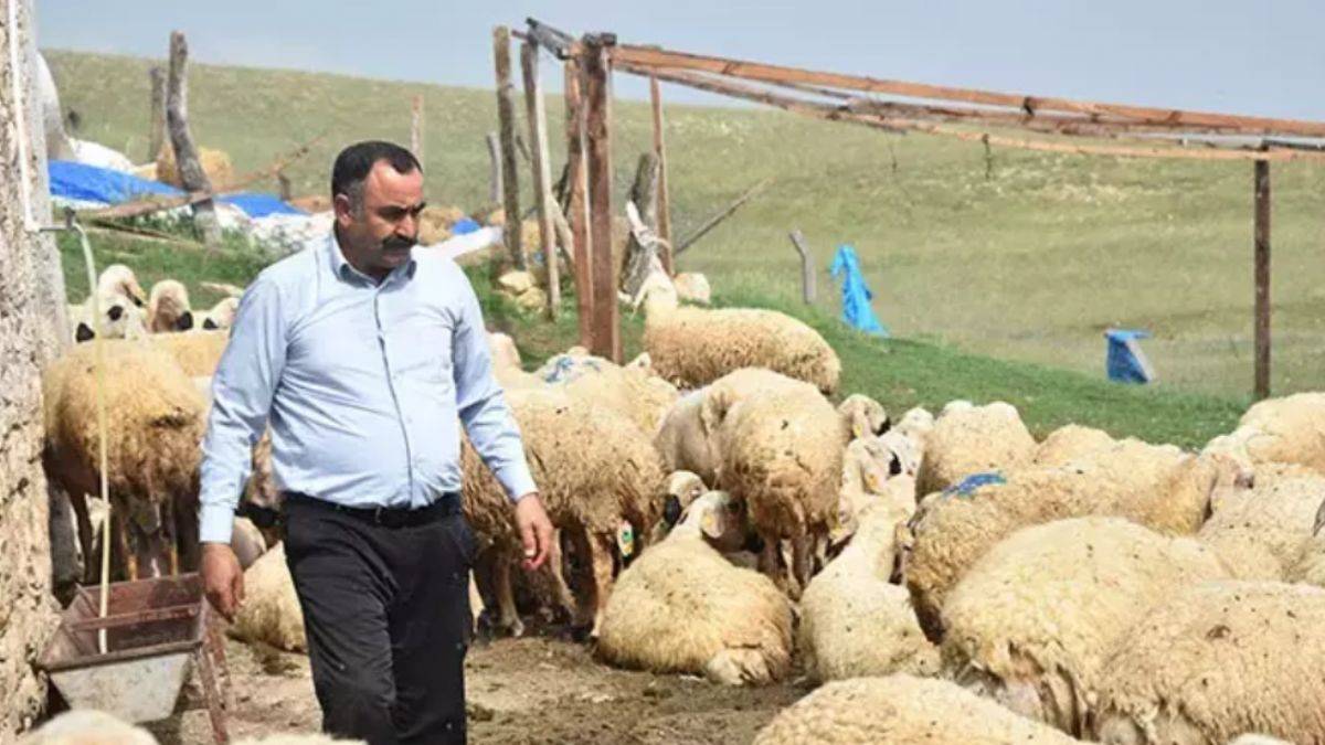 40 bin TL maaşla çoban bulamayan köylüler, hayvanlarını satıyor
