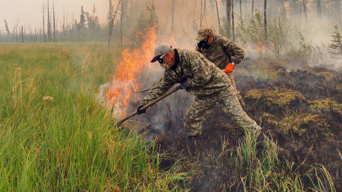 Doğu Rusya Yakutistan ve Saha'da 92 orman yangını patlak verdi
