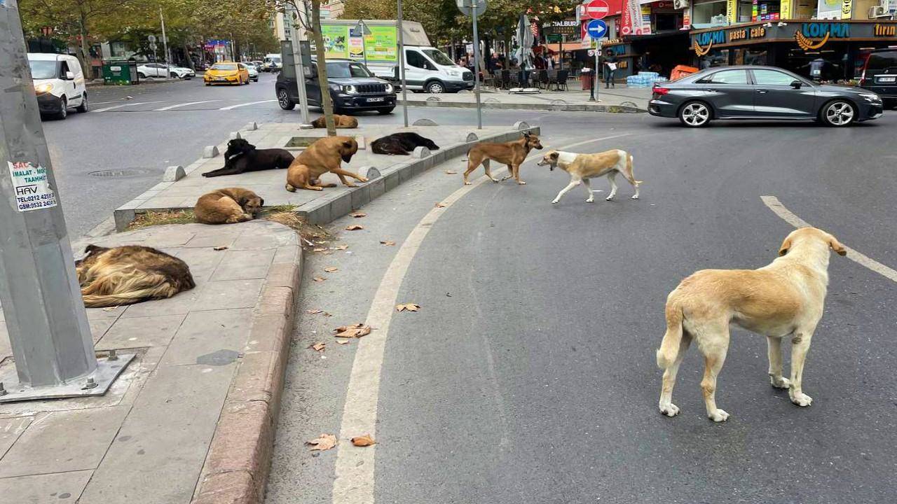 AYM'den yeni düzenlemeye ilişkin karar