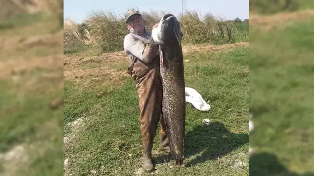 Boyu kadar yayın balığı yakaladı