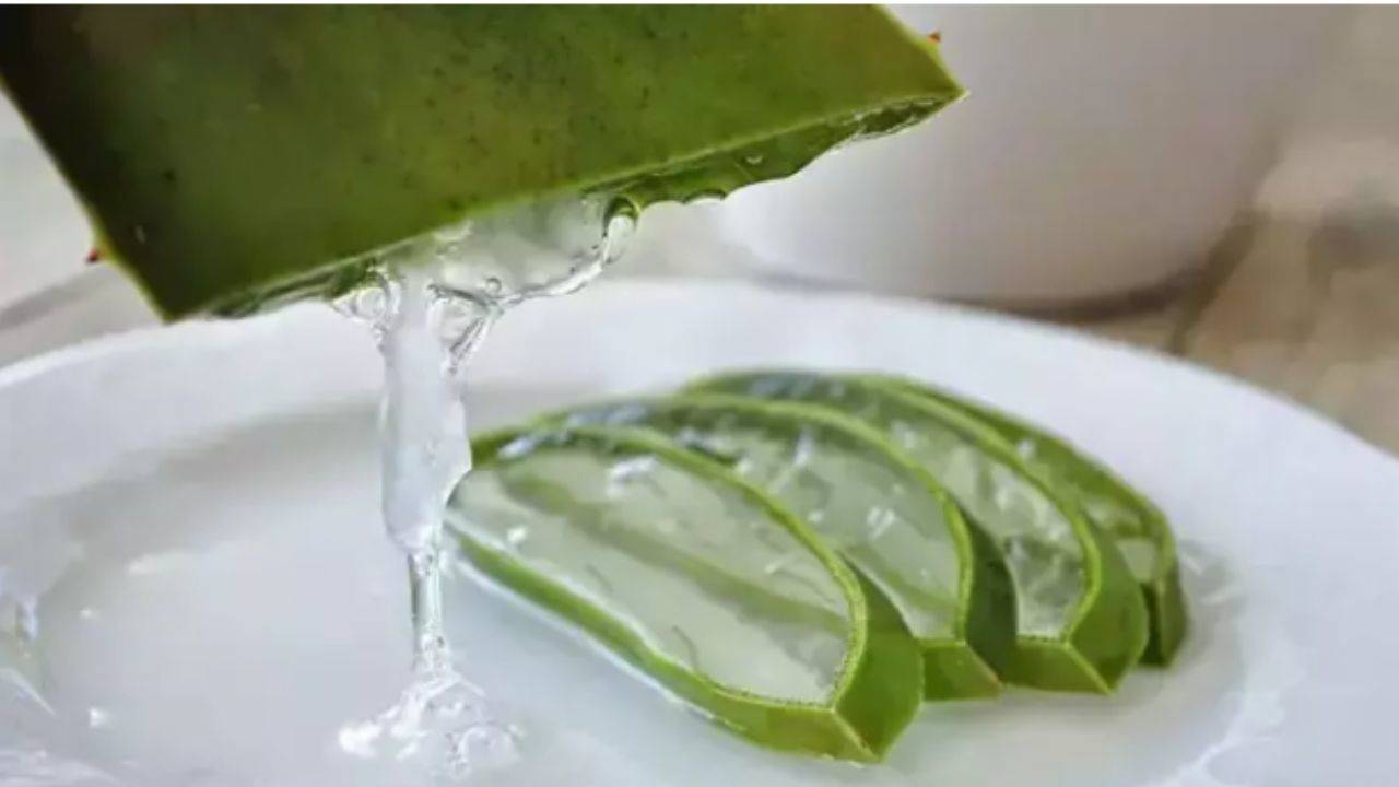 Cilt lekelerini yok ediyor! Aloe vera ile sivilceler tarihe karışıyor