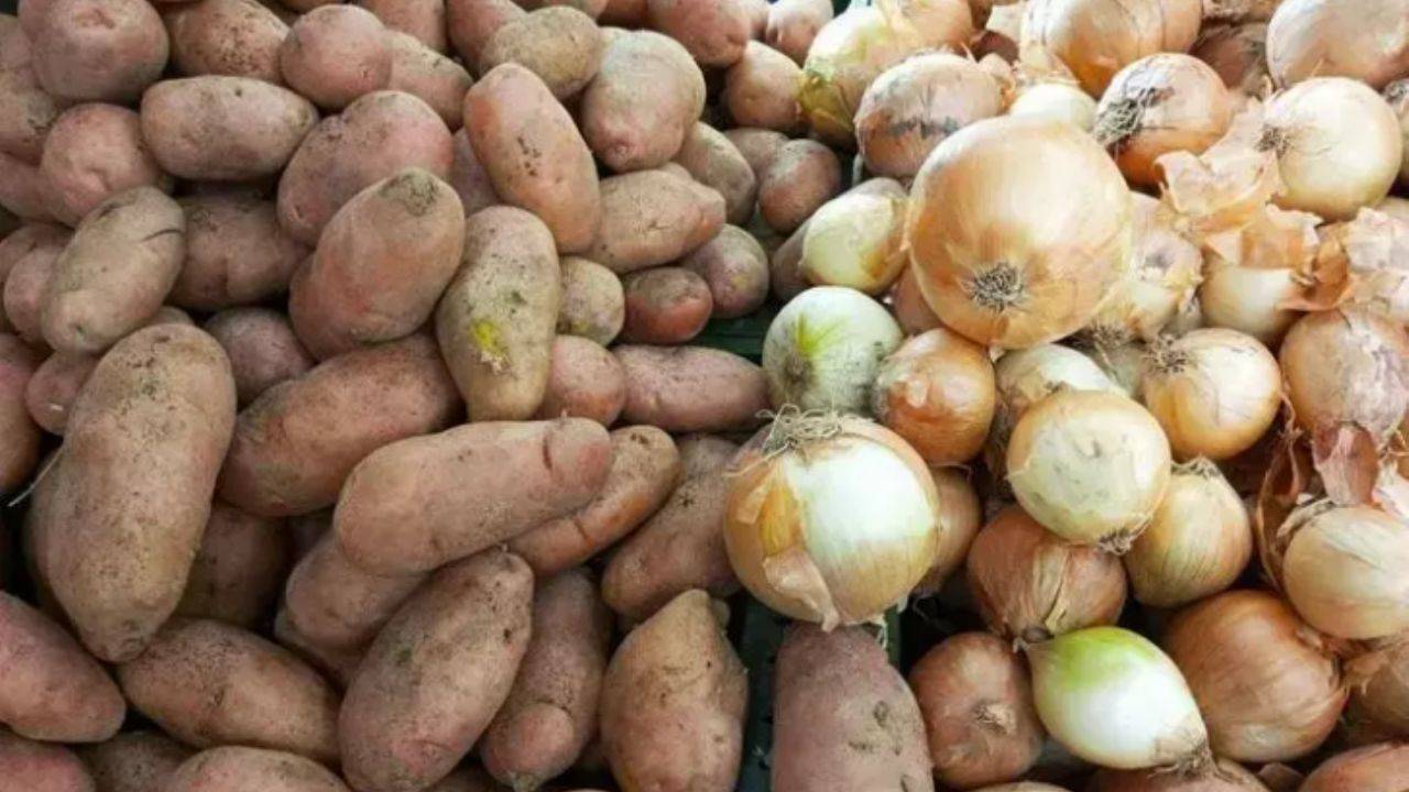 Patates ve soğan saklamada yapılan büyük hata! Sağlığınızı ciddi tehlikeye atıyor