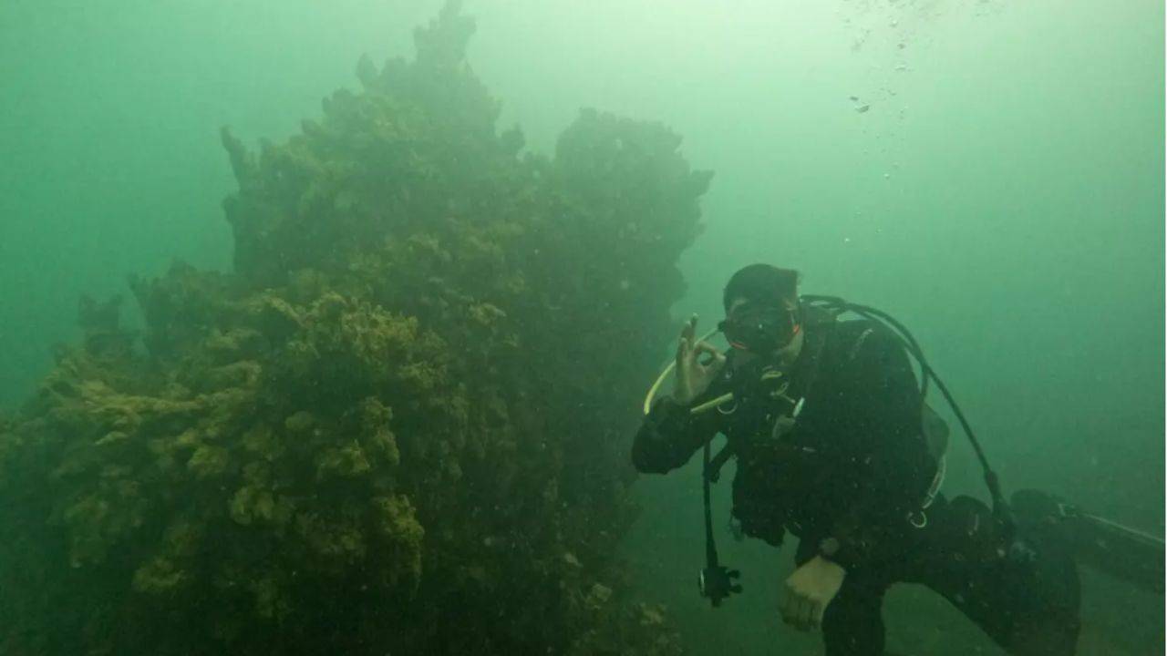 Van Gölü'nde 34 metrelik Mikrobiyalit! Bugüne kadarki en büyüğü