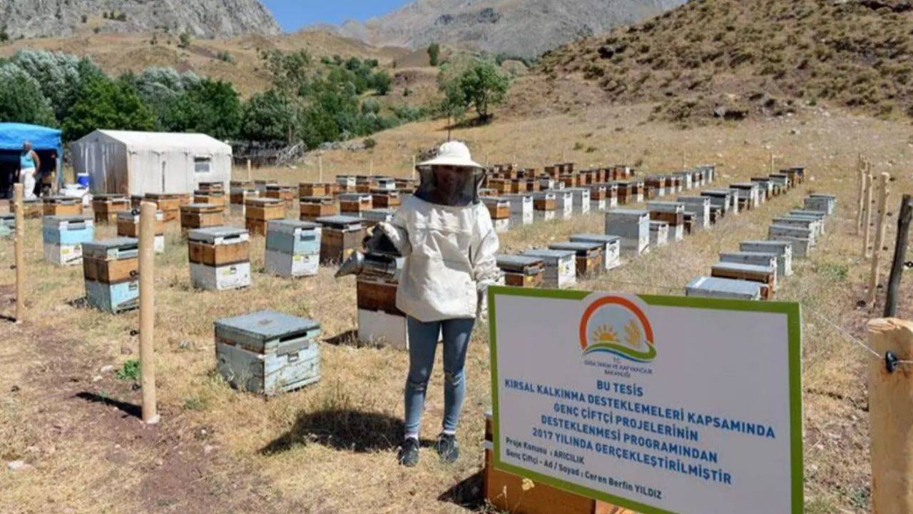 Organik arı yetiştiricileri için yeni destek ödemesi