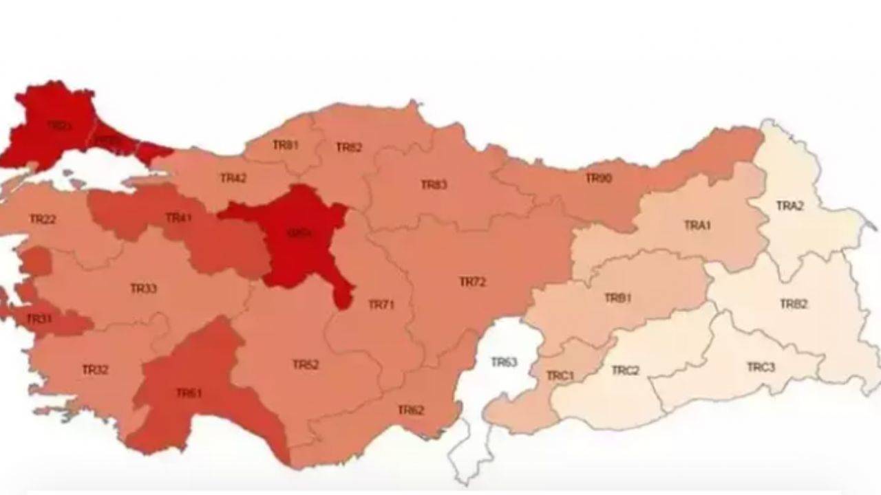 Gelir dağılımı eşitsizliği zirve yaptı! İşte düşük gelirli iller