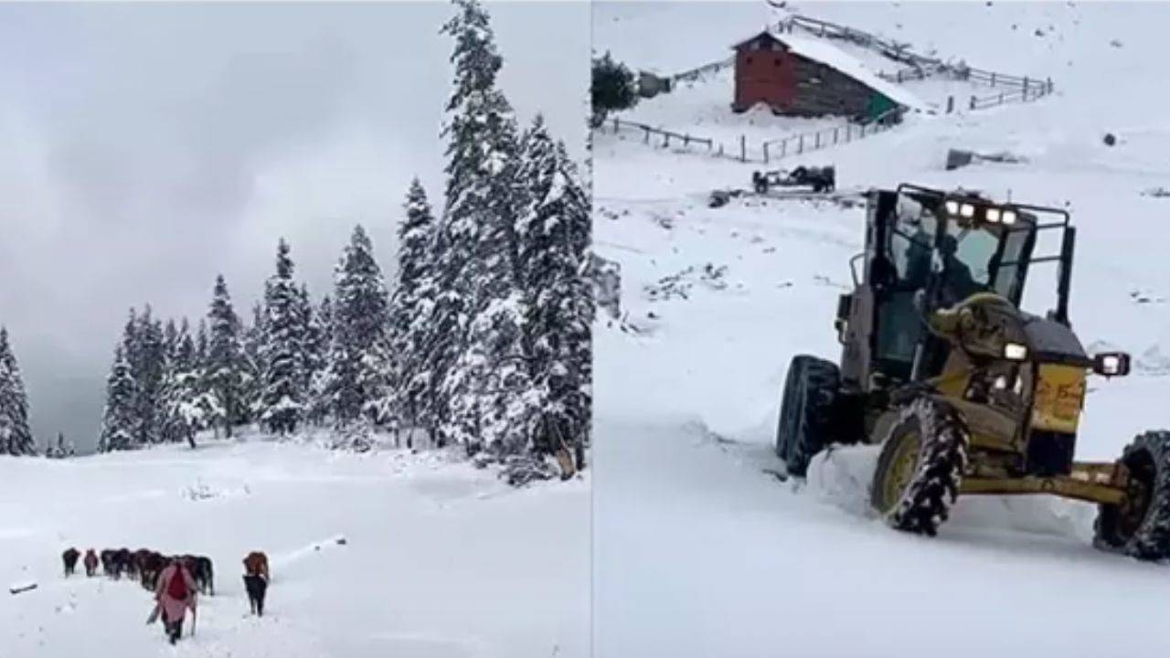 Sinop yaylalarında -kar esareti! Mahsur kalanlar kurtarıldı