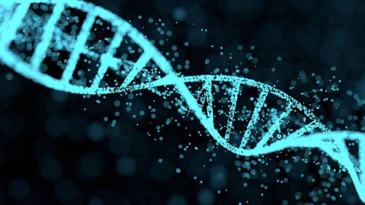 Milyonlarca insanın DNA verisi tehlikede! 23andMe iflasın eşiğinde