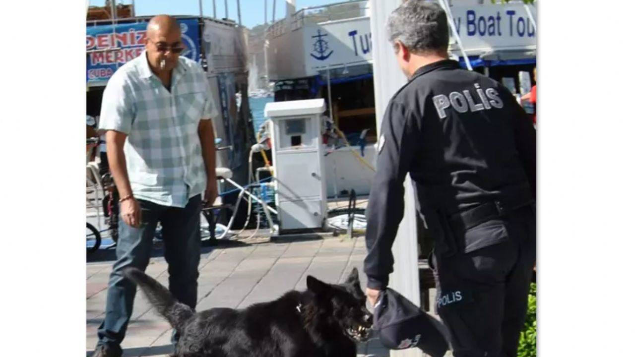 Kurt köpeği polise saldırdı