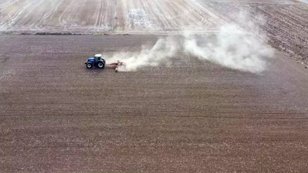 Küresel ısınma buğday ekim zamanını kaydırdı: Geç kalanlar riskte