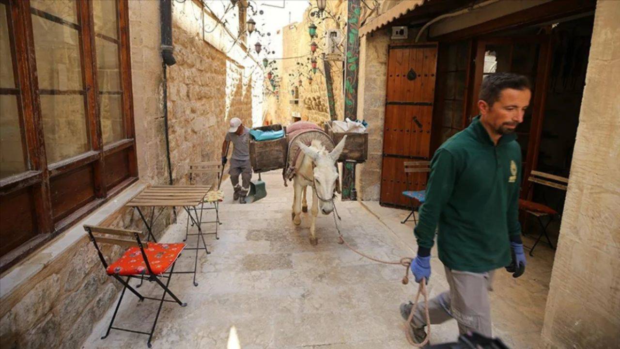 Mardin'in Artuklu ilçesinde  uzun süredir temizlik işlerinde kullanılan eşekler içinse emeklilik planı devreye girdi.