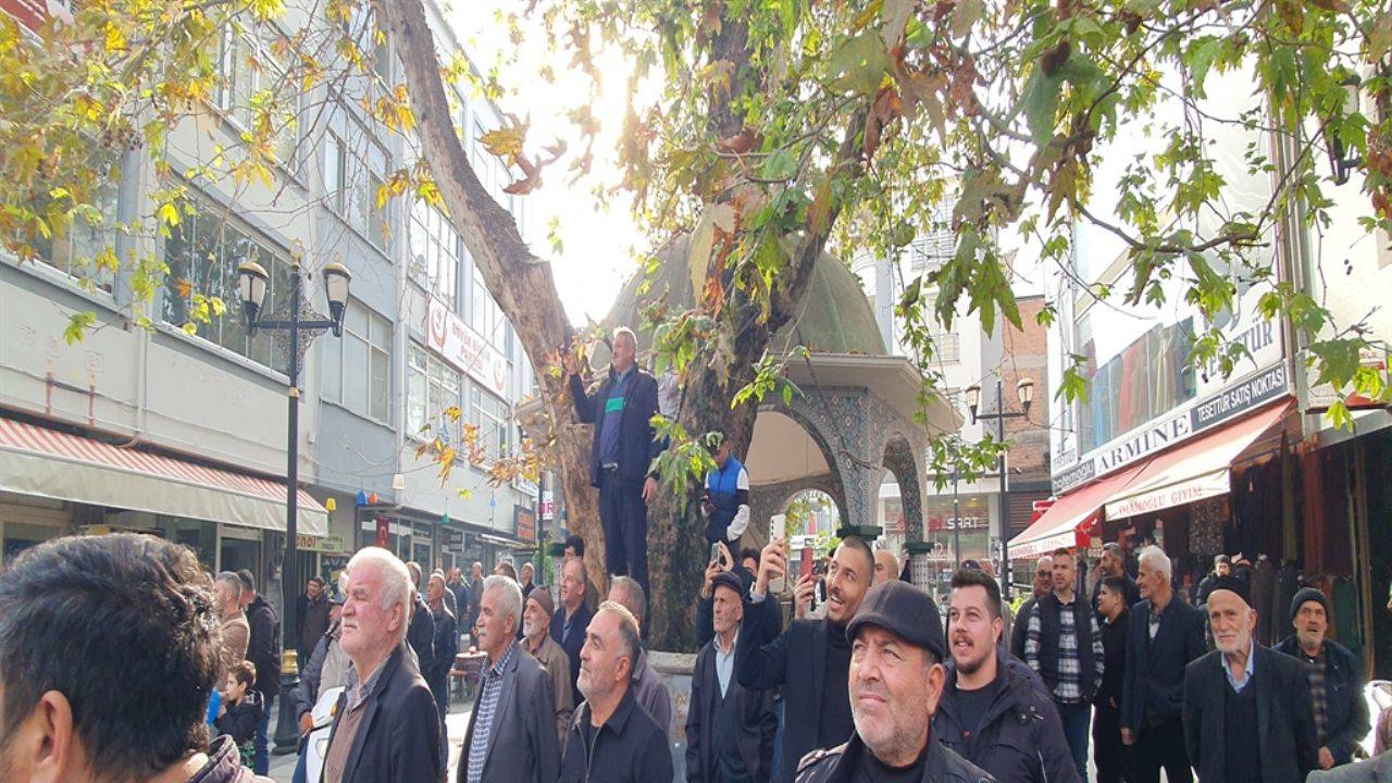 Akbaba çatıya indi, sokakta kalabalık birikti