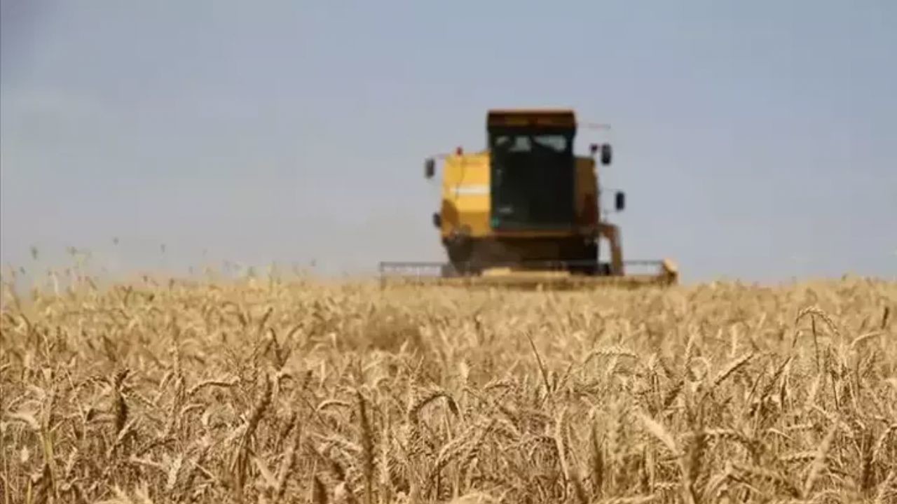 Çiftçilere müjde! Bakan Yumaklı destek ödemesini açıkladı