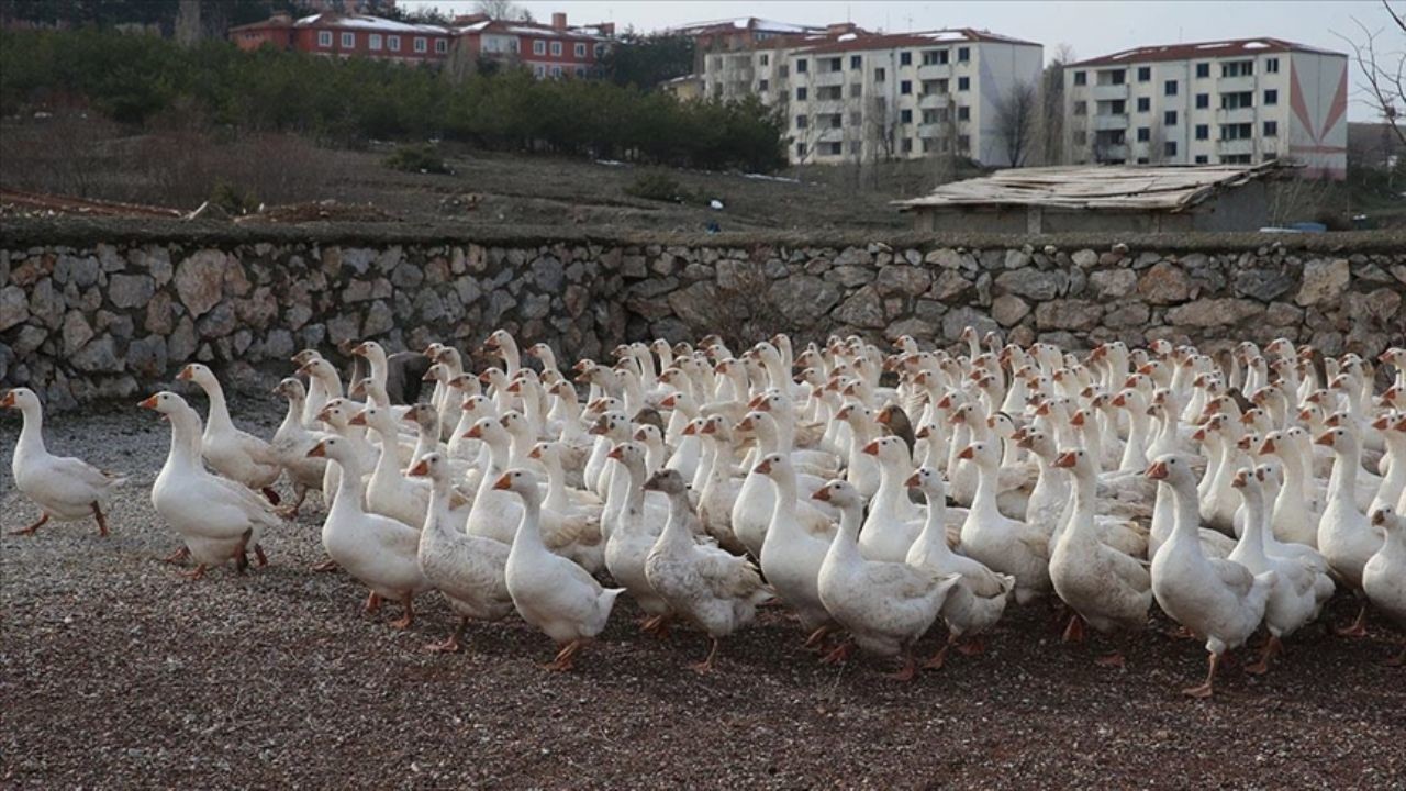 Marketini sattı; 10 kazla başladığı işinde şimdi 3 bin kazı var