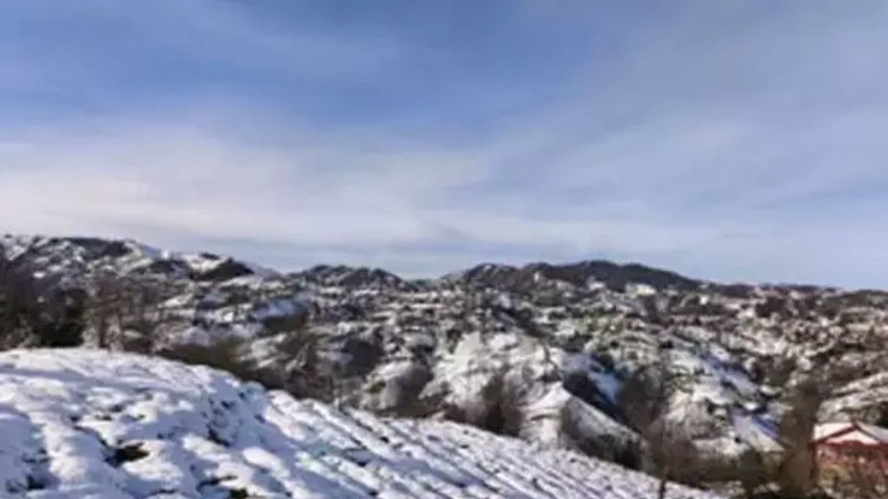 Rize'de kar altında çay hasadı dünyada ilk kez