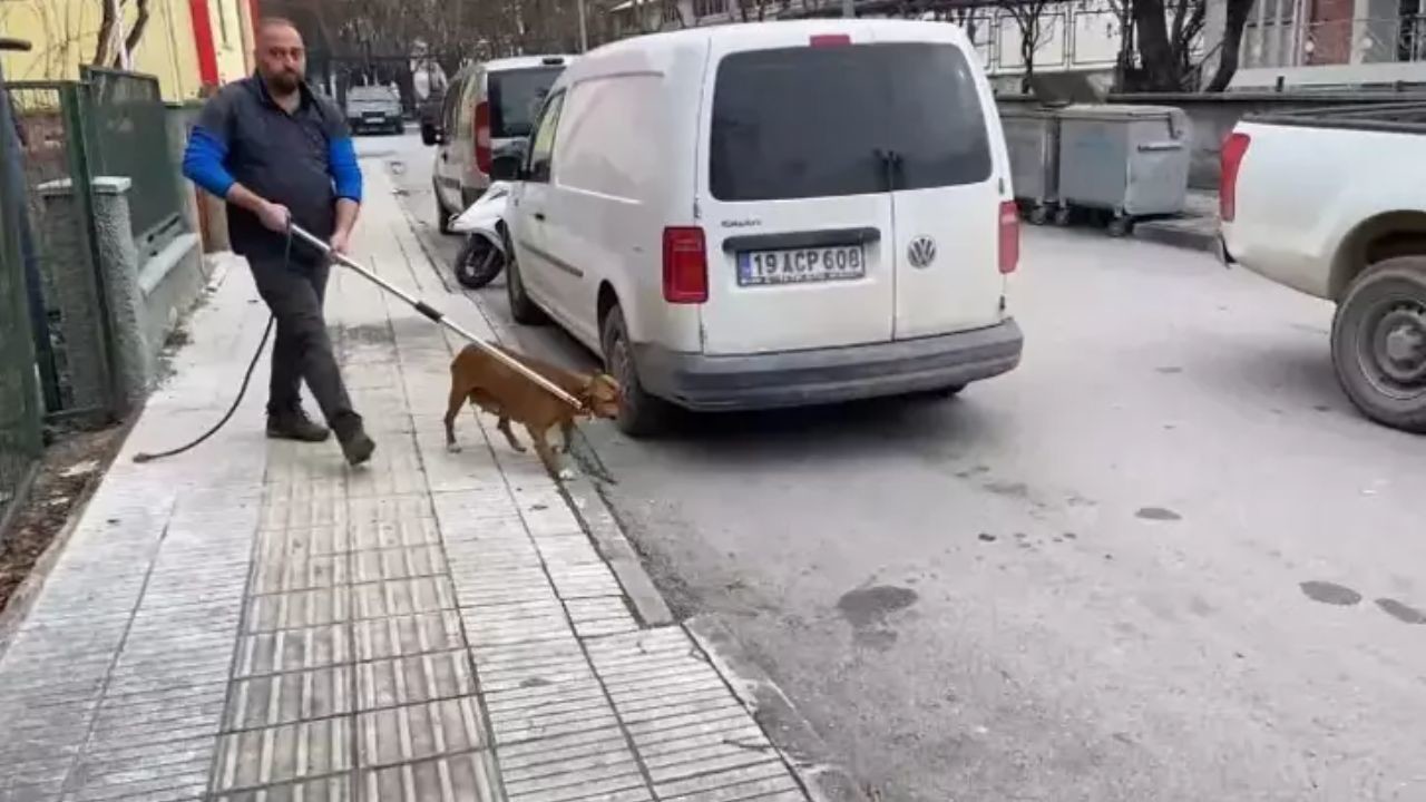 Çorum'da Kayıp Ahmet Selim Vural'ın başına ne oldu? Köpeği katil mi?