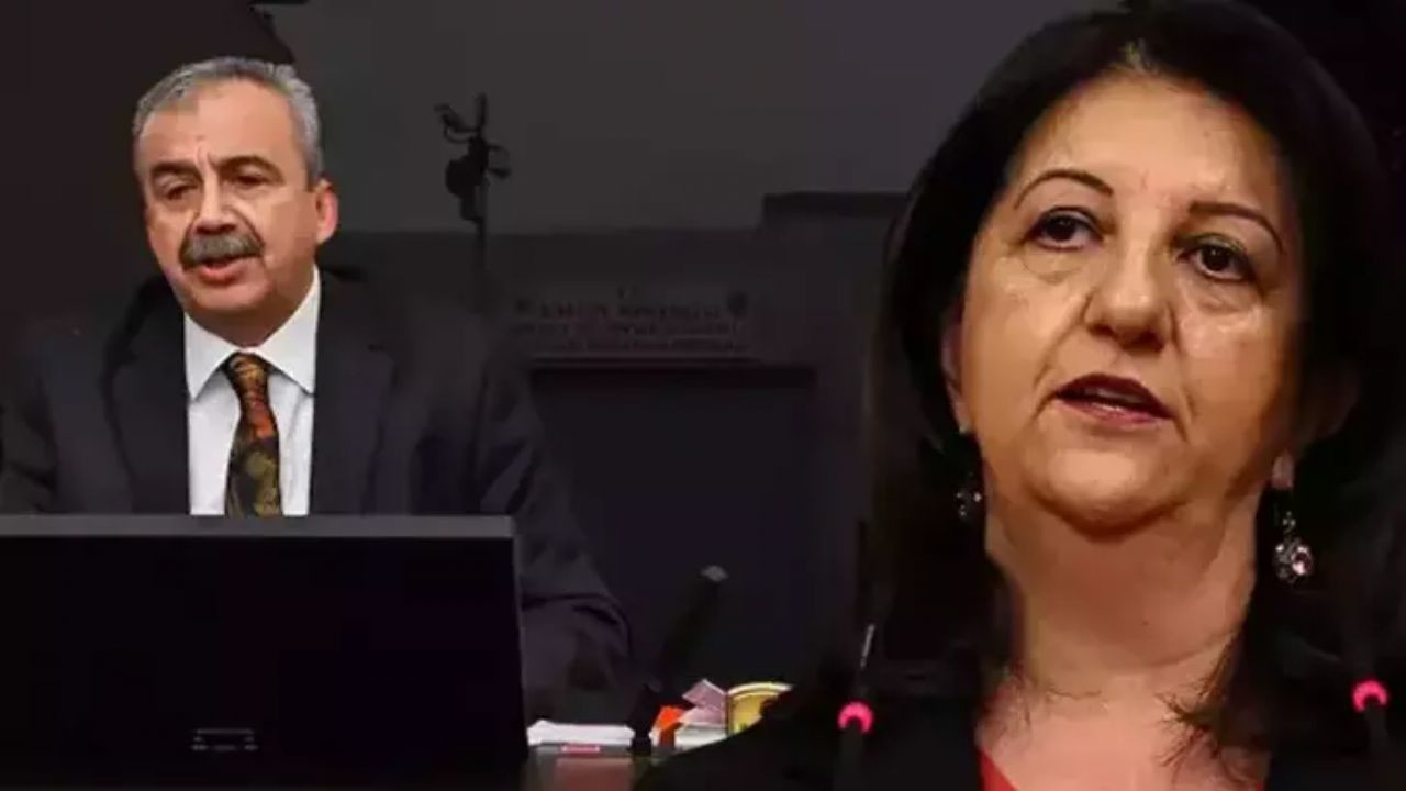 Sırrı Süreyya Önder ve Pervin Buldan'dan Öcalan'la görüşme sonrası çarpıcı mesaj