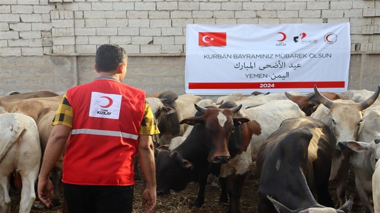 Kızılay Yurt dışı İçin de Adak, Akika, Şükür Kurbanı Projesi Başlattı