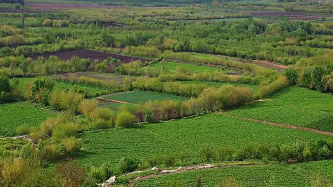 Konut fiyatları artınca gözler arsaya döndü: Nelere dikkat etmeli