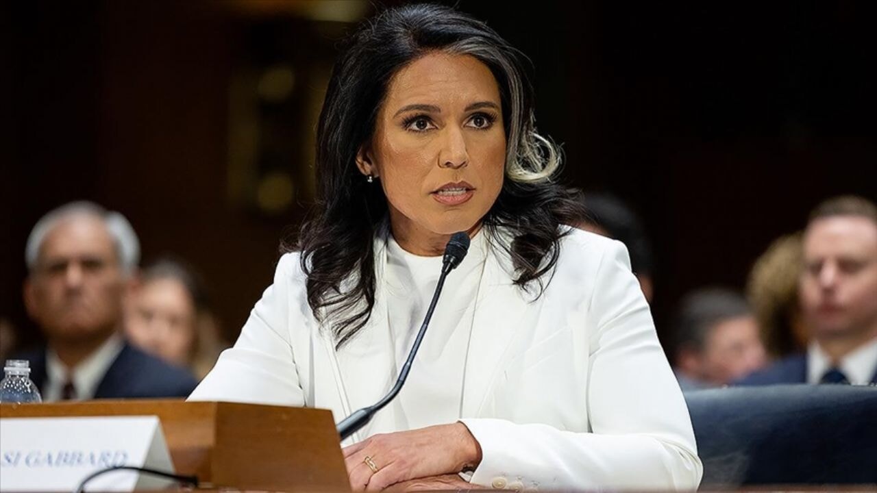 Tulsi Gabbard, Trump ve Zelenskiy'nin çıkarları arasındaki büyük farklar var