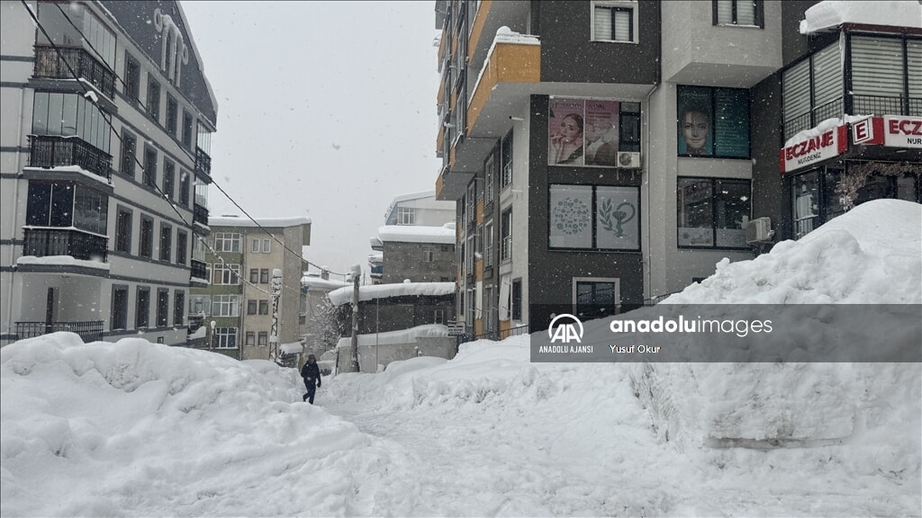 Artvin'de Yoğun Kar Yağışı ve Etkileri