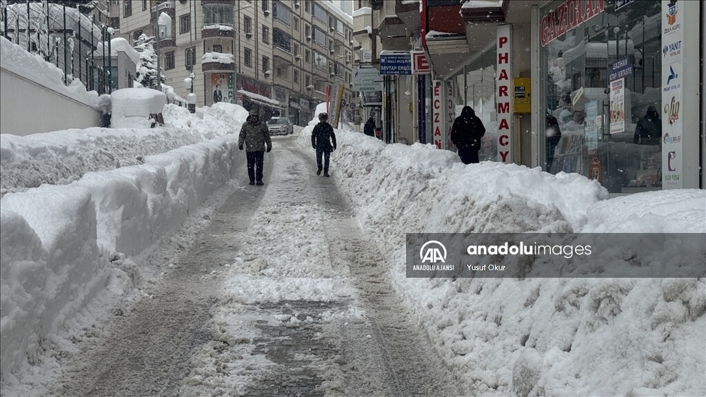 Artvin'de Yoğun Kar Yağışı: Tarihin En Yüksek Seviyesi ve Etkileri